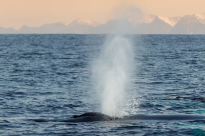 Норвегия