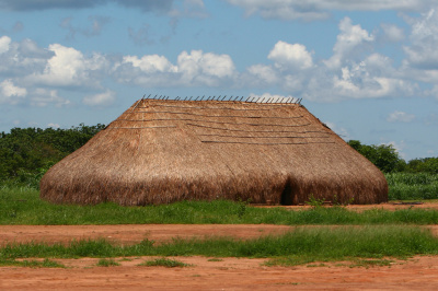 Амазонка